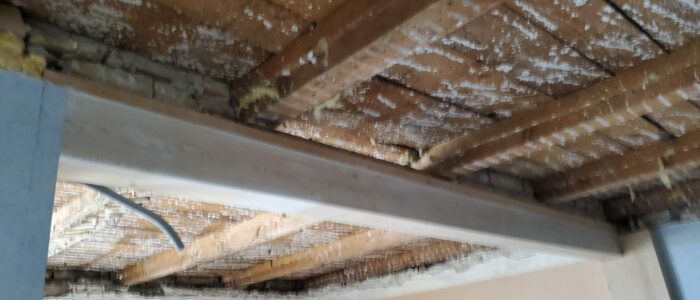 PHOTO-2025-07-22-15-51-48