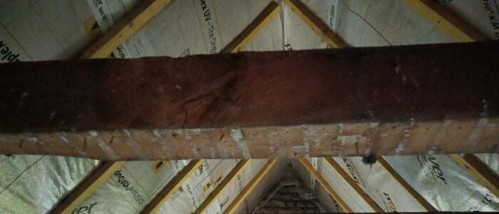 PHOTO-2025-07-22-15-52-06